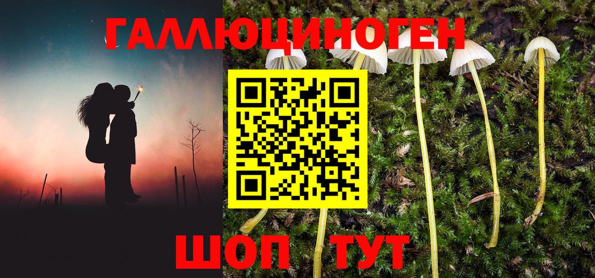 Галлюциногенные грибы прущие грибы  Вход с VPN  Сланцы 